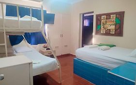 Hotel Kevin
